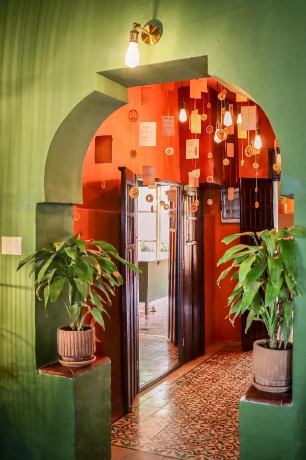 Bed and breakfast Kuka Y Letras